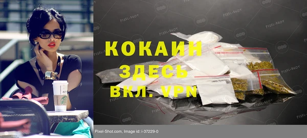 кокс Богородицк