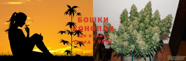 кокс Богородицк