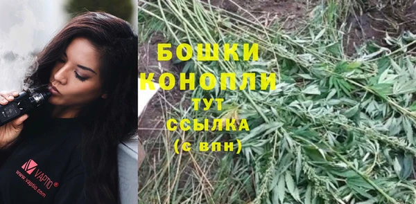 кокс Богородицк