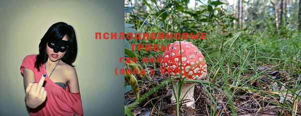 соль курить ск Белокуриха