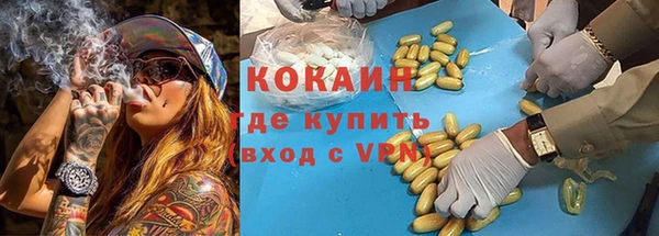 молекула духа Бородино