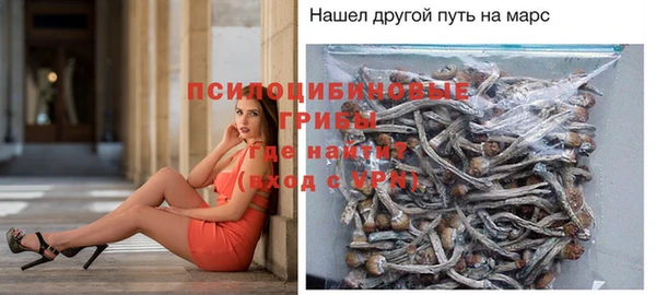 кокс Богородицк