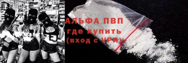 прущие грибы Беломорск