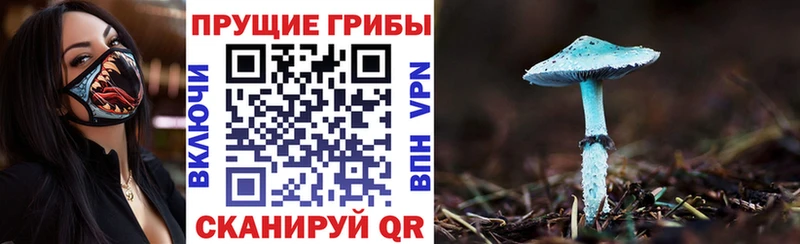 Галлюциногенные грибы ЛСД  Белая Калитва 